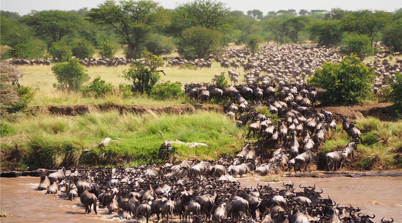 Masai-mara-village-4