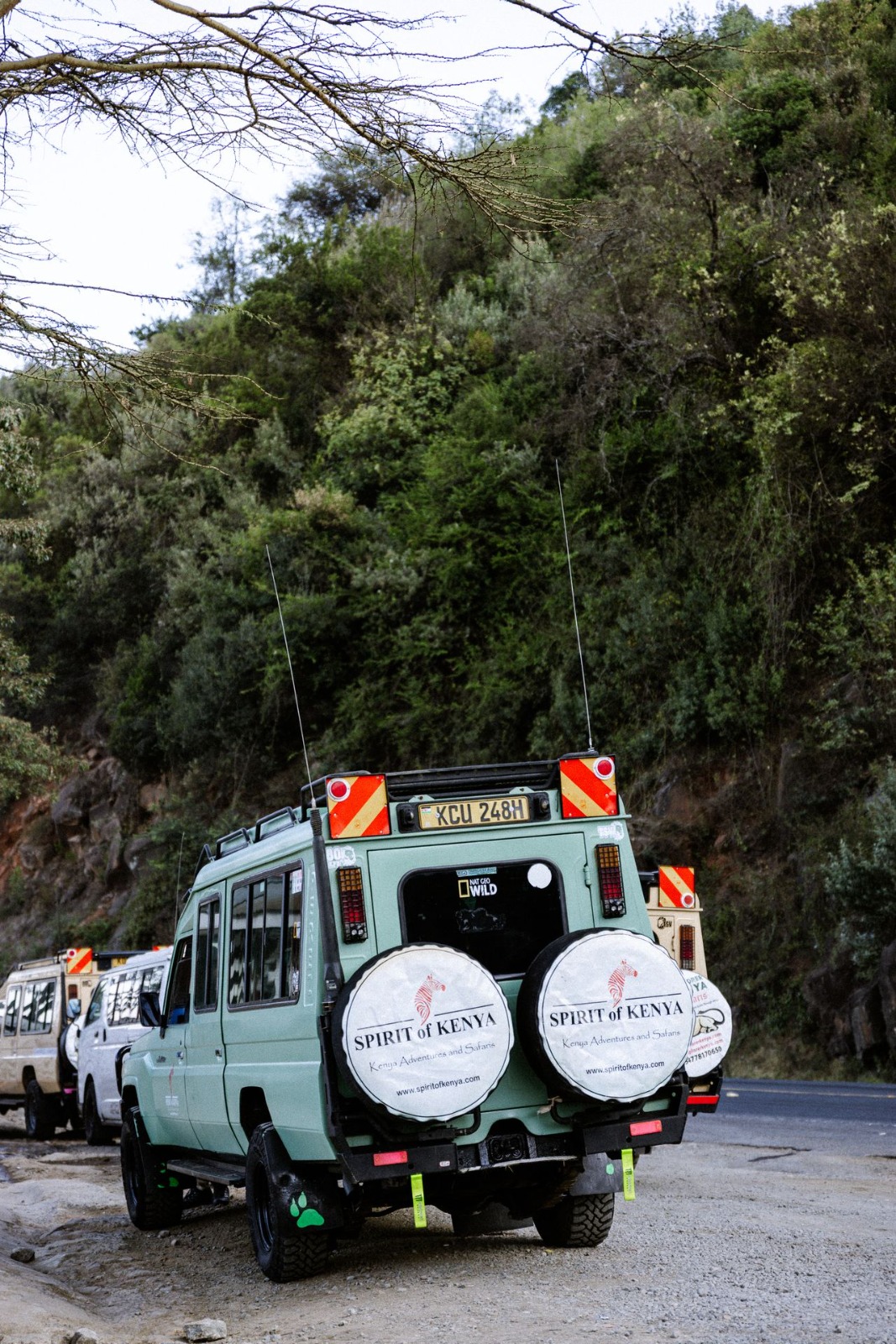 Nyota Trail Safaris