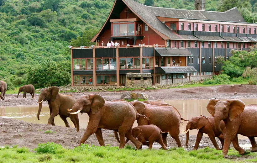 9 Days 8 Nights Samburu, Aberdares, Masai Mara, Nakuru