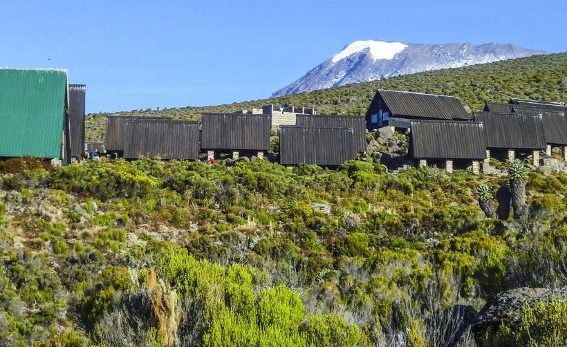7 Days Mt Kilimanjaro: Machame out Mweka / Tusker Route