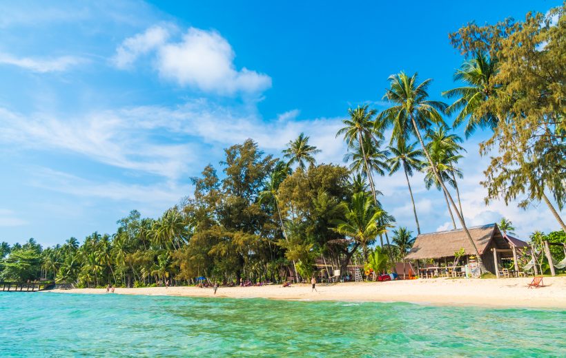 Zanzibar Bliss