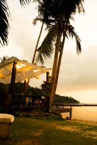 Gallery Thumbnail 1