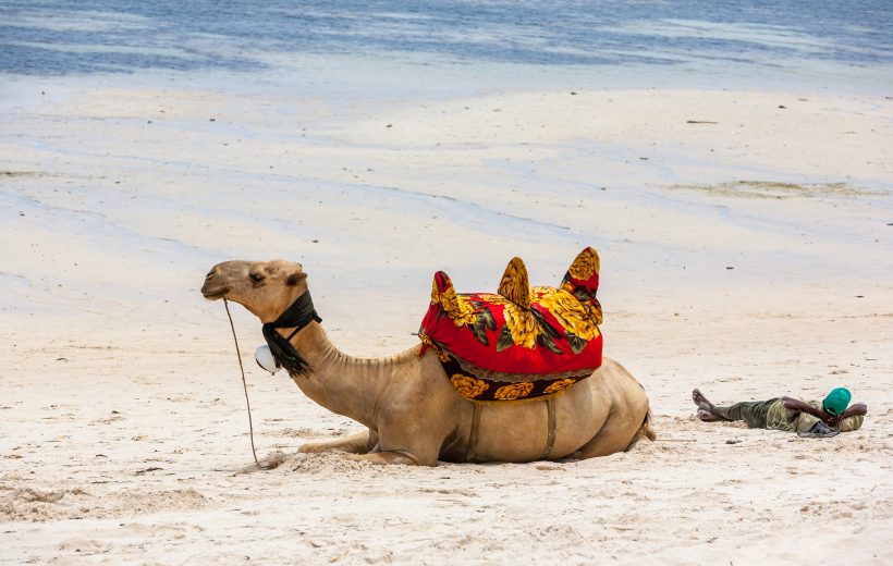 Diani Sea Resort