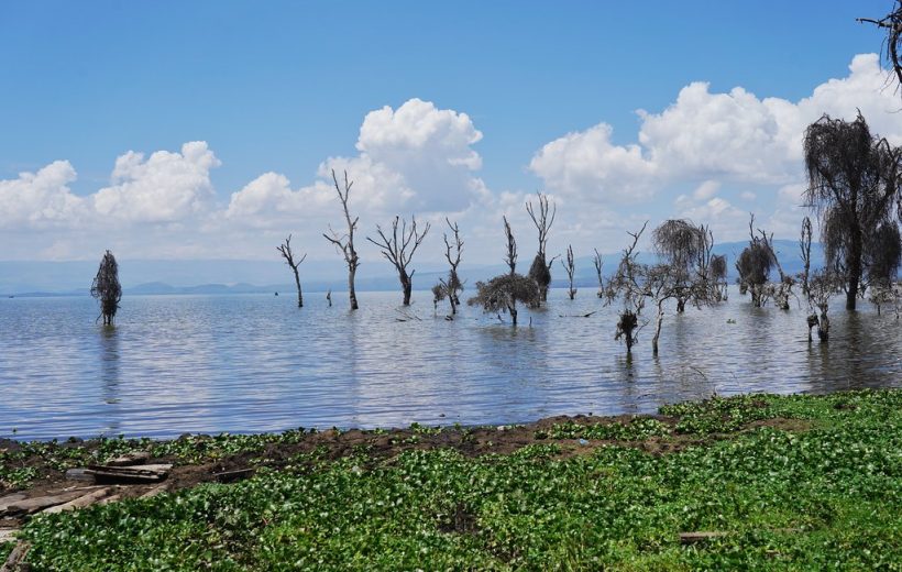 Lake Naivasha