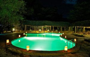 Gallery Thumbnail 1