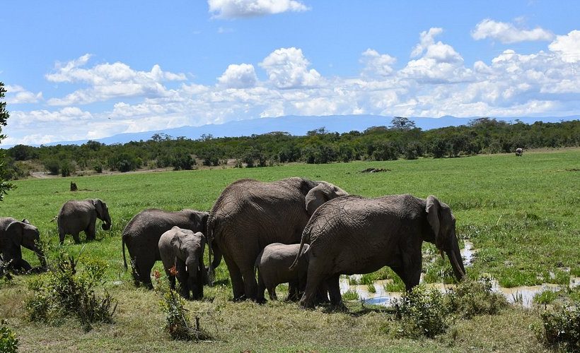 3 Days Nanyuki Easter Gateway Packages