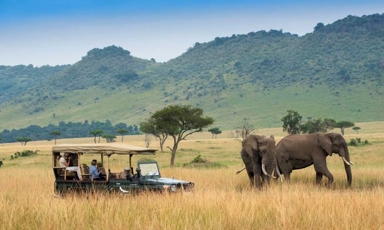 5 Days Premium Safari – Masai Mara, Lake Nakuru, Lake Naivasha & Amboseli