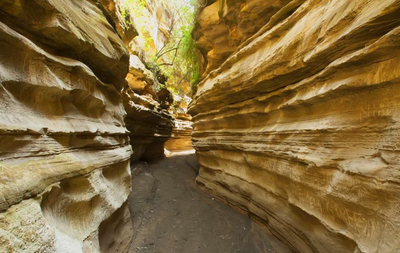 Hell’s Gate National Park & Lake Naivasha Day Trip