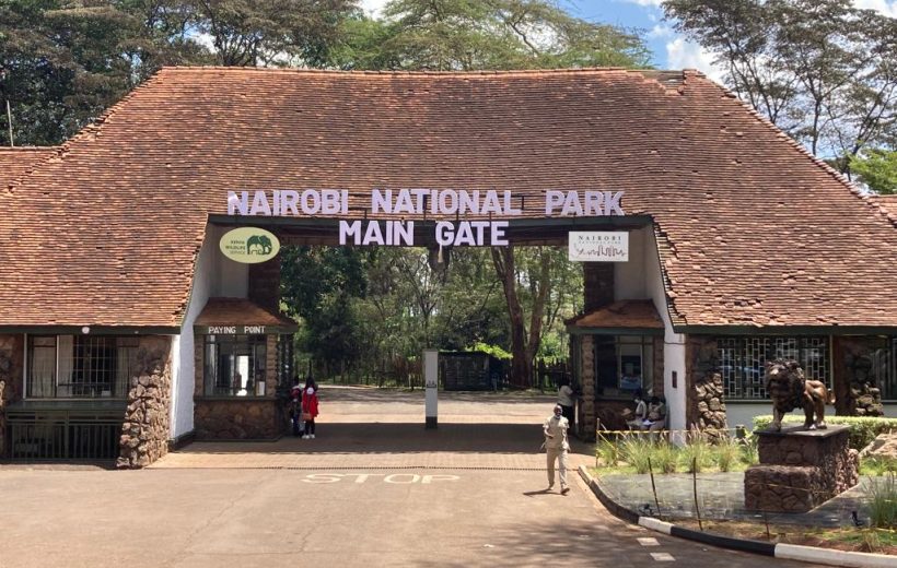 Nairobi National Park Half-Day Safari