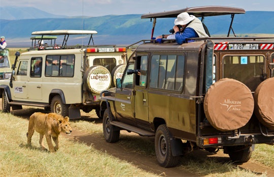 8 Days / 7 Nights – Masaai Mara – Nakuru – Amboseli – Tsavo West- East Safari