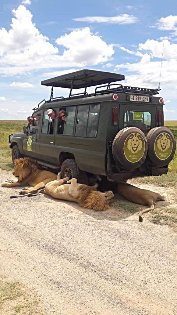 7 Days Amboseli-Lake Naivasha-Lake Nakuru – Masai Mara