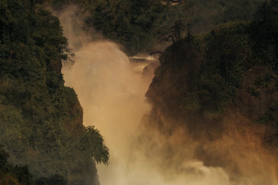 7 Days Murchison Falls, Kibale & Bwindi Tour