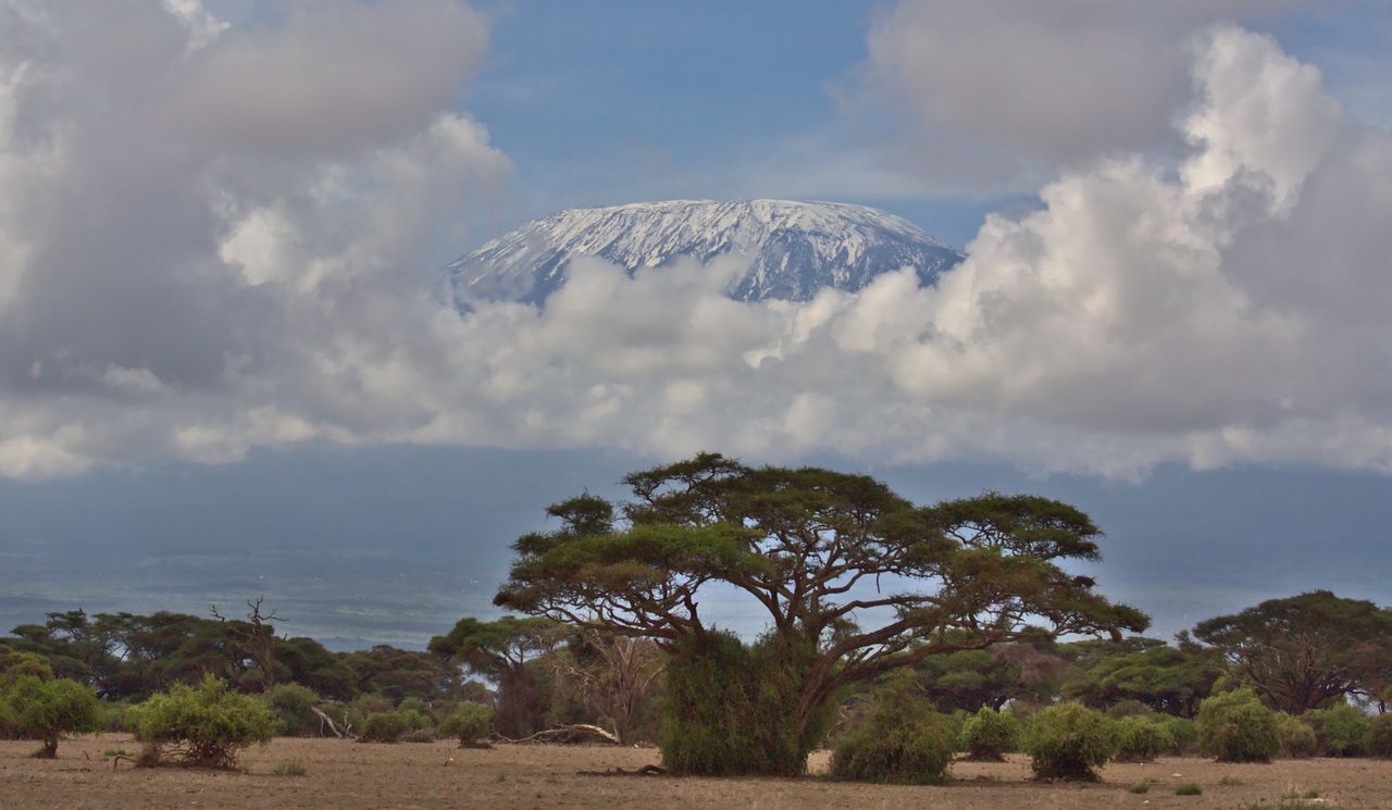 4 Days Serengeti & Ngorongoro Crater Safari
