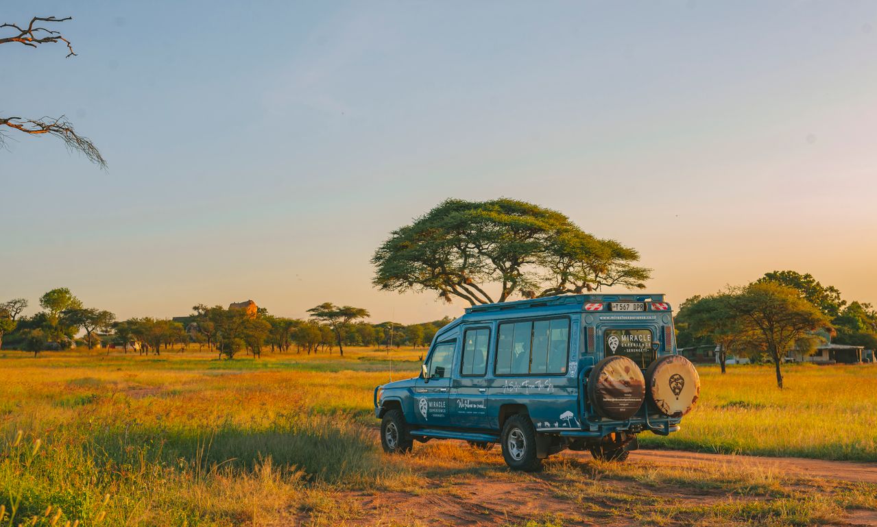 4 Days Serengeti & Ngorongoro Crater Safari