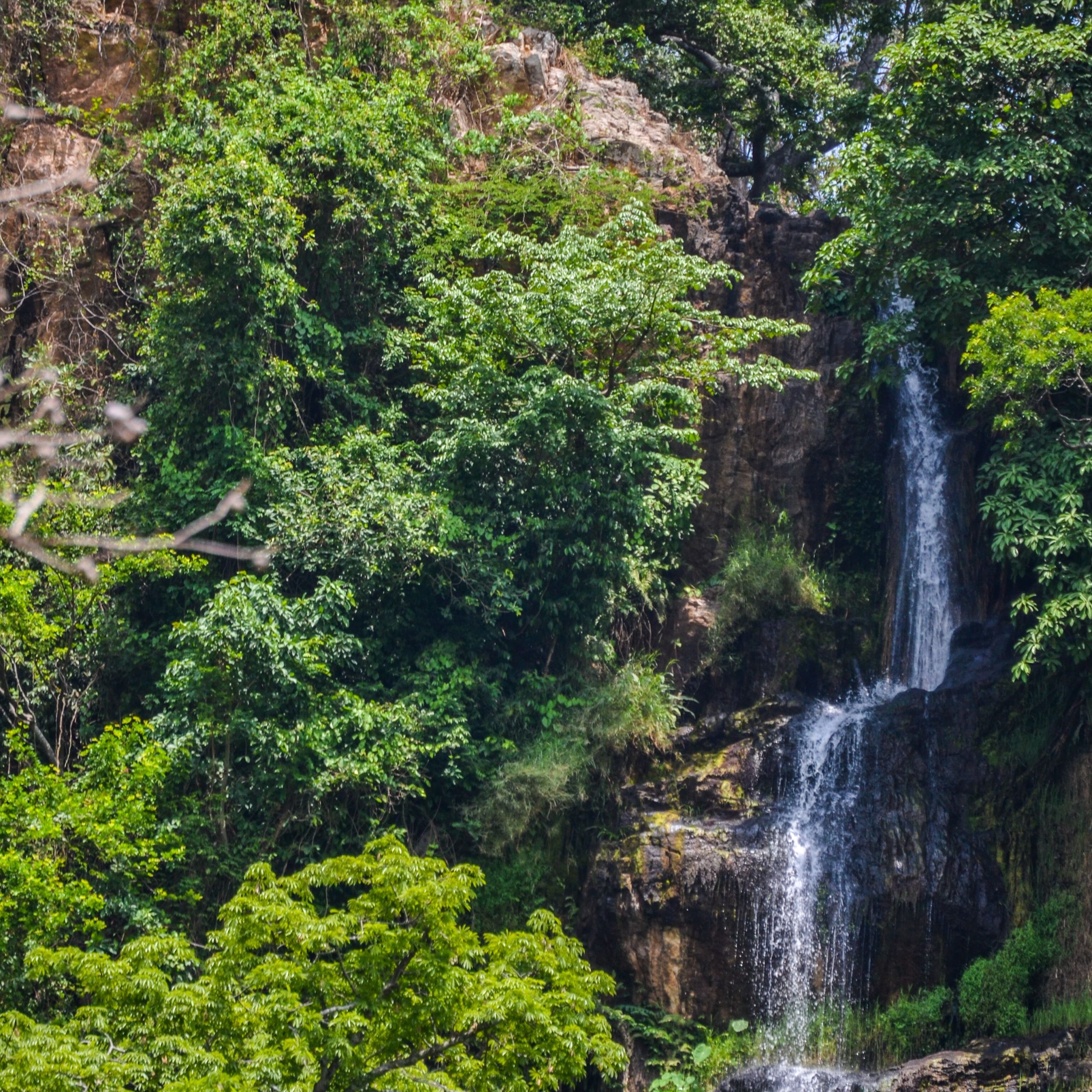 7 Days Murchison Falls, Kibale & Bwindi Tour