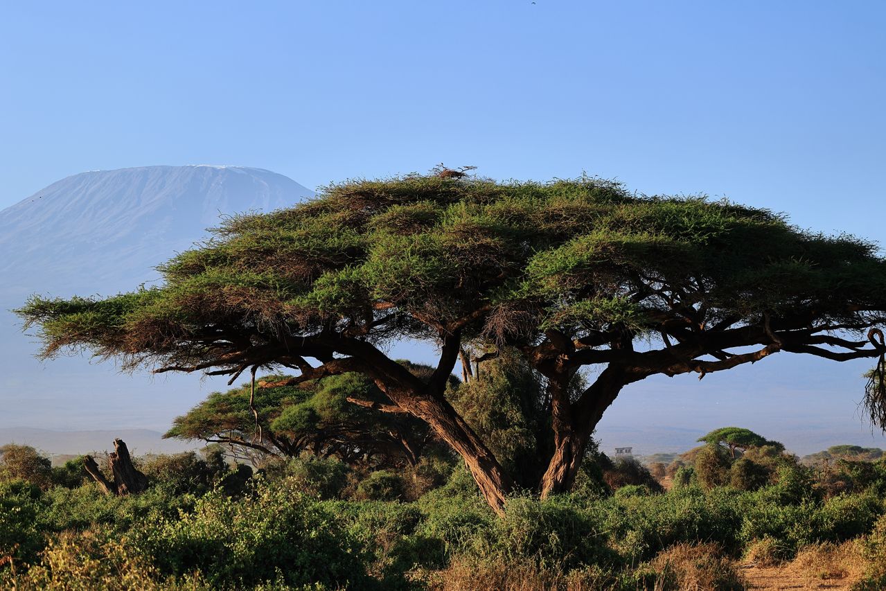 4 Days Lake Manyara, Ngorongoro Crater & Tarangire Park